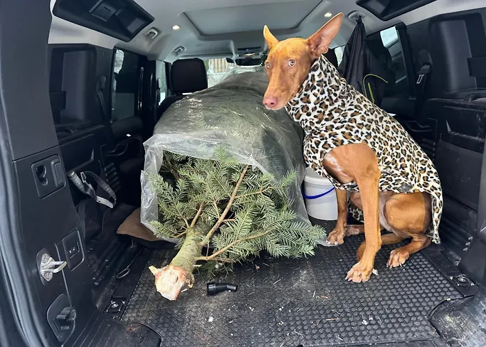 Am Hochficht Mühlviertel In Oberösterreich * Freundorf